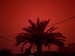 بالصور.. عاصفة دموية أفريقية تضرب جنوب العراق