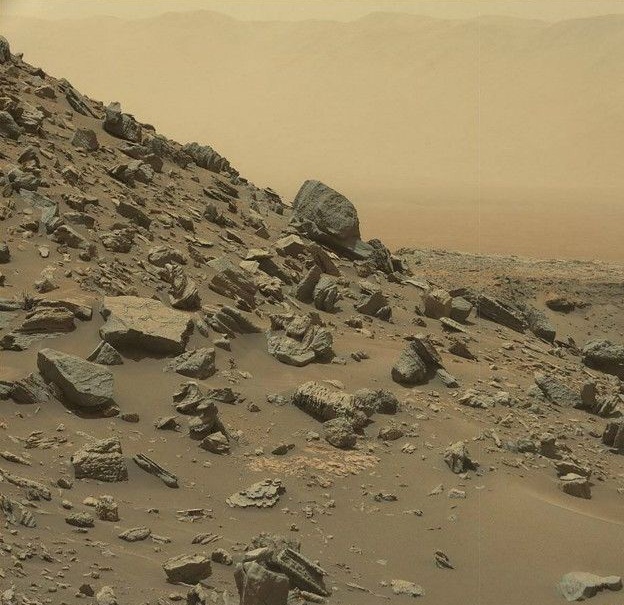 _MSC_RESIZED_IMAGE