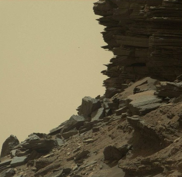 _MSC_RESIZED_IMAGE