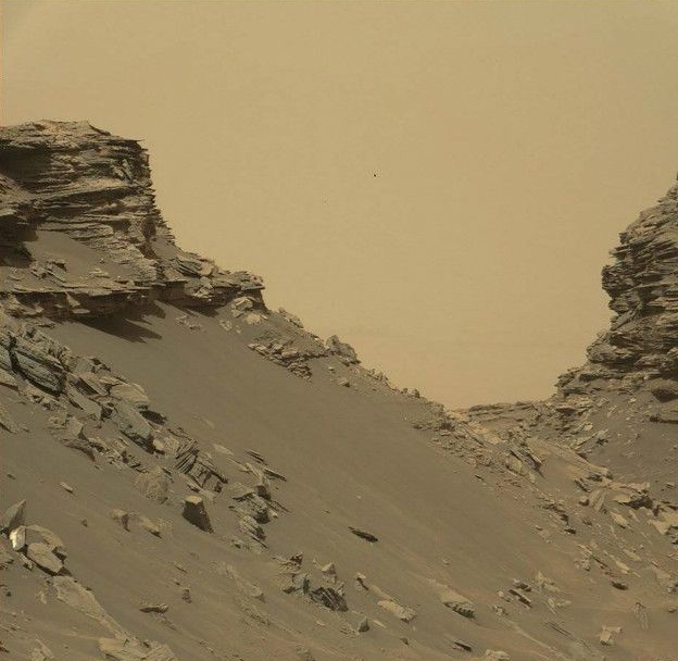 _MSC_RESIZED_IMAGE