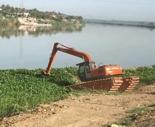 الخدمات النيابية: على الحكومة التحرك للقضاء على زهرة النيل وإنقاذ الثروة المائية