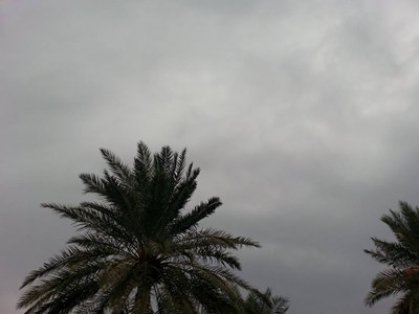 طقس غائم ممطر في الايام الثلاثة المقبلة 